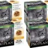 Pro Plan Cat NutriSavour Sterilised Multipack - Kattenvoer - Kip 40x85 G 2 Pro Plan Cat NutriSavour Sterilised Multipack - Kattenvoer - Kip 40x85 G -Kattenbenodigdheden Winkel 1200x831 3