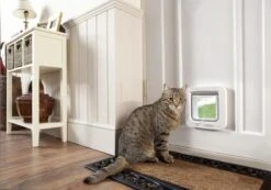 SureFlap Microchip Dualscan - Kattenluik - M - 14 X 12 Cm -Kattenbenodigdheden Winkel 1200x842 2