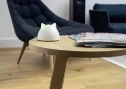 Sureflap Connect HUB -Kattenbenodigdheden Winkel 1200x848