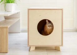 Catandwood Kattenhuis - Kattenbakcontainer - Kattenbak Ombouw - Hout -Kattenbenodigdheden Winkel 1200x856 4