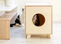 Catandwood Kattenhuis - Kattenbakcontainer - Kattenbak Ombouw - Hout -Kattenbenodigdheden Winkel 1200x857 7