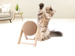 Janse Katten Krab Bal - Katten Speelgoed - Krabmeubel - Kattenkrabpaal - Krabplank - Krabbal - Kattenspeeltje - Krabbol - Inclusief Kattenkruid -Kattenbenodigdheden Winkel 1200x898 2