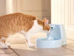 Petsafe Drinkwell Platinum - Drinkfontein - 5 L 36 Petsafe Drinkwell Platinum - Drinkfontein - 5 L -Kattenbenodigdheden Winkel 1200x905