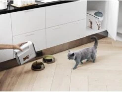 Curver Voercontainer Kat - 6 L -Kattenbenodigdheden Winkel 1200x910 1