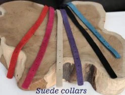 Beeztees Kattenbandje Suede - Zwart -Kattenbenodigdheden Winkel 1200x918