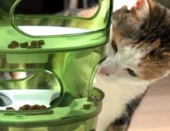 Cat-It Senses 2.0 Food Tree - Wit/Groen - Voerbak - Ø 35 Cm -Kattenbenodigdheden Winkel 1200x923