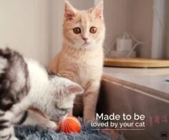 Cheerble Mini Ball 2.0 - Slimme Interactieve Zelf Rollende Bal Voor Katten - 3 Speelmodi - Kattenspeeltjes - USB Oplaadbaar - Rood -Kattenbenodigdheden Winkel 1200x994