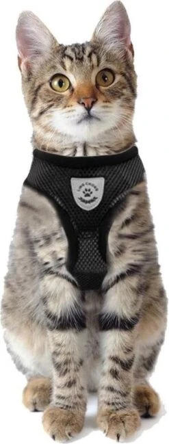 Merkloos Kattentuigje Met Looplijn | Zwart Kattenharnas | Easy Step In | Kattenriem | Kattenlijn | Kattentuig | Maat S -Kattenbenodigdheden Winkel 457x1200