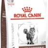 Royal Canin Fibre Response - Kattenvoer - 4 Kg -Kattenbenodigdheden Winkel 562x1200 1