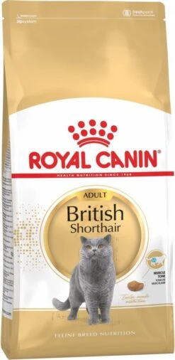 Royal Canin British Shorthair Adult - Kattenvoer - 2 Kg -Kattenbenodigdheden Winkel 586x1200