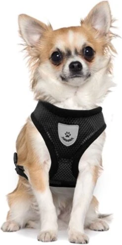 Ease Store Kattentuigje – Maat S – Met Looplijn – Kittentuigje – Dierentuigje – Hondentuigje – Reflecterend – Zwart -Kattenbenodigdheden Winkel 597x1200