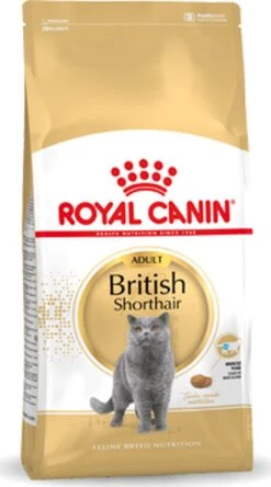 Royal Canin British Shorthair Adult - Kattenvoer - 4 Kg -Kattenbenodigdheden Winkel 668x1200 4