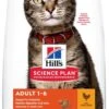 Hill's Feline Adult Kip - Kattenvoer - 7 Kg -Kattenbenodigdheden Winkel 690x1200 1