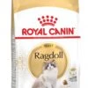Royal Canin Ragdoll Adult - Kattenvoer - 2 Kg -Kattenbenodigdheden Winkel 690x1200 4