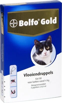 Bayer Bolfo Gold 80 Anti Vlooienmiddel - Kat - > 4 Kg - 4 Pipetten -Kattenbenodigdheden Winkel 723x1200