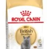 Royal Canin British Shorthair Adult - Kattenvoer - 2 Kg -Kattenbenodigdheden Winkel 729x1200 1