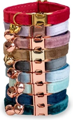 ACE Pets Kattenhalsband Met Belletje – Halsband Kat & Kitten - Kittenhalsband & Kattenbandje - Kattenbelletje - Pluche Velvet - Groen 11 ACE Pets Kattenhalsband Met Belletje – Halsband Kat & Kitten - Kittenhalsband & Kattenbandje - Kattenbelletje - Pluche Velvet - Groen -Kattenbenodigdheden Winkel 731x1200