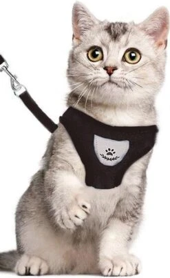 Merkloos Kattentuigje - Kattenharnas - Kattentuig Met Looplijn - Hondentuigje - Hondenharnas - Zwart - Maat L