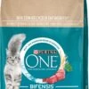 PURINA ONE Sterilcat Katten Droogvoer Met Rundvlees & Tarwe, Adult, 2.8 Kg -Kattenbenodigdheden Winkel 761x1200 1