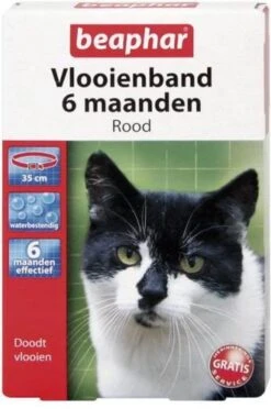 Beaphar Vlooienband Kat - Rood - 1 Stuk -Kattenbenodigdheden Winkel 797x1200