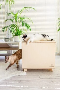 Catandwood Kattenhuis - Kattenbakcontainer - Kattenbak Ombouw - Hout -Kattenbenodigdheden Winkel 799x1200 7