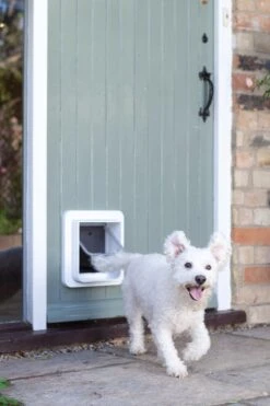 Sureflap Dierenluik Microchip S - Kattenluik - 20x20x7 Cm Wit 26 Sureflap Dierenluik Microchip S - Kattenluik - 20x20x7 Cm Wit -Kattenbenodigdheden Winkel 800x1200 6