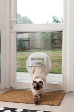 Sureflap Montageadapter Voor Kattenluik - Wit - 14 X 12 Cm -Kattenbenodigdheden Winkel 800x1200 7