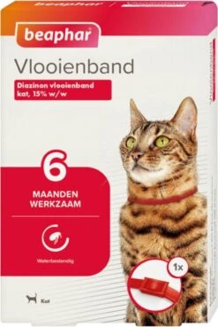 Beaphar Vlooienband Kat - Rood - 1 Stuk -Kattenbenodigdheden Winkel 804x1200