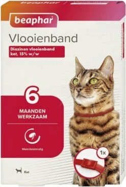 Beaphar Vlooienband Kat - Rood - 1 Stuk -Kattenbenodigdheden Winkel 807x1200 1