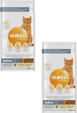 Iams Cat Adult Indoor - Kattenvoer - 2 X Kip 3 Kg -Kattenbenodigdheden Winkel 817x1200 1