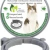 Teken- En Vlooienband Voor Katten PLUS - Natuurlijk Middel Tegen Vlooien En Teken - 100% Natuurlijk - 38,5 CM - Tot 8 Maand Werkzaam - Biologisch 1 Teken- En Vlooienband Voor Katten PLUS - Natuurlijk Middel Tegen Vlooien En Teken - 100% Natuurlijk - 38,5 CM - Tot 8 Maand Werkzaam - Biologisch -Kattenbenodigdheden Winkel 819x1200