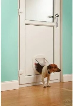 Petsafe Kattenluik - Grote Kat - Transparant -Kattenbenodigdheden Winkel 832x1200 1