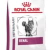 Royal Canin Kat Renal2 Kg -Kattenbenodigdheden Winkel 886x1200 1