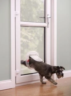 Petsafe Kattenluik - Grote Kat - Transparant -Kattenbenodigdheden Winkel 893x1200