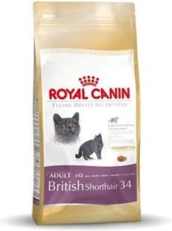Royal Canin British Shorthair Adult - Kattenvoer - 4 Kg -Kattenbenodigdheden Winkel 893x1200 4