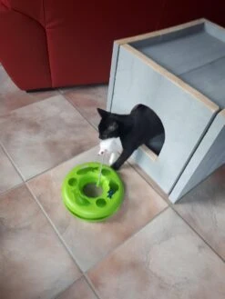 Bronneger Exclusive - Kattenhuis - XXL - Kattenbak Ombouw Kast - Kattenmand 22 Bronneger Exclusive - Kattenhuis - XXL - Kattenbak Ombouw Kast - Kattenmand -Kattenbenodigdheden Winkel 900x1200 22