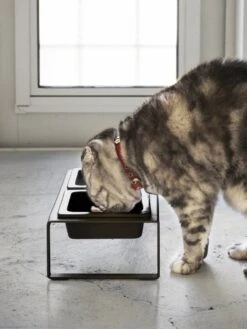 Yamazaki Eetbak - Voederbak Kat - Tweeledig - Zwart -Kattenbenodigdheden Winkel 901x1200