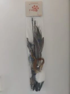 FUZLY - Kattenspeelgoed - Hengel Met Veer - Hengel Met 5 Opzetstukjes - Kattenspeeltjes - Bewegend Kattenspeelgoed- Kattenspeeltjes Intelligentie - Kattenhengel - Kattenspeeltje Interactief -Kattenbenodigdheden Winkel 902x1200