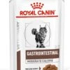 Royal Canin Gastro Intestinal Moderate Calorie Kat 12x85 Gr.