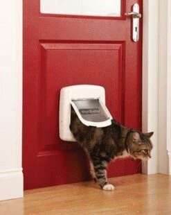 Petsafe Kattenluik 400 - Wit -Kattenbenodigdheden Winkel 955x1200