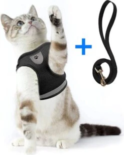 Ease Store Kattentuigje – Maat S – Met Looplijn – Kittentuigje – Dierentuigje – Hondentuigje – Reflecterend – Zwart -Kattenbenodigdheden Winkel 960x1200